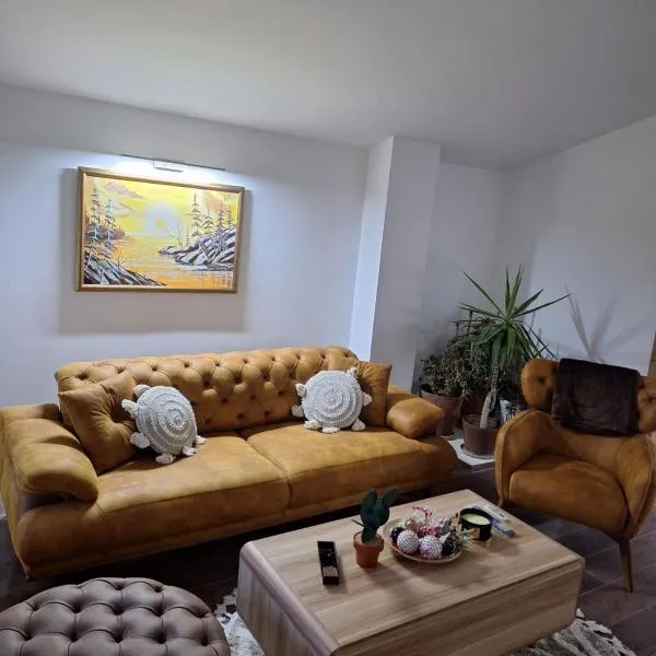 Kosmaj Apartmani Košutica - Marija i Ksenija，位于Koraćica的酒店