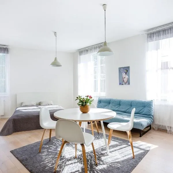 Spacious Cozy Studio, 3A，位于维尔纽斯的酒店