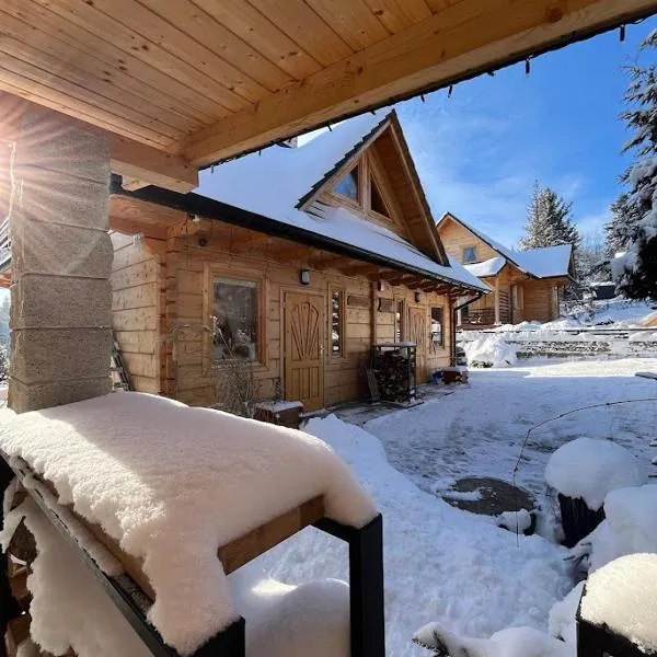 Apartament Borowikowe Zacisze，位于Falsztyn的酒店