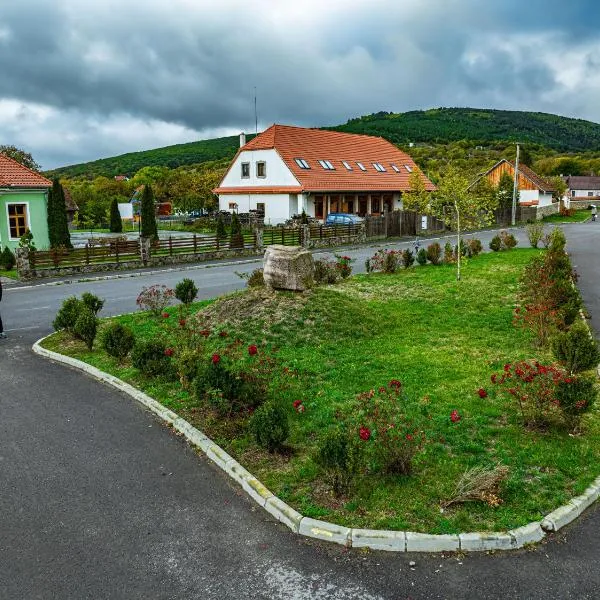 Vass Panzio，位于Zălan的酒店