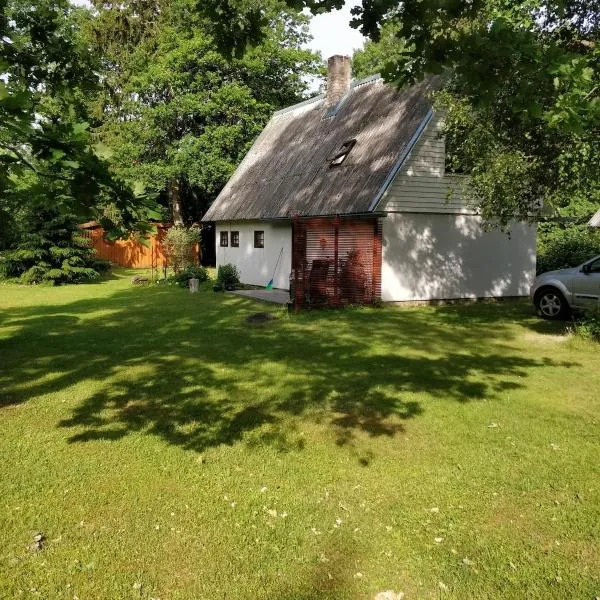 Cozy forest house，位于Kaunispe的酒店