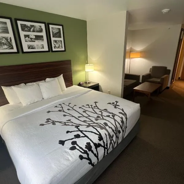 Sleep Inn & Suites Conference Center Eau Claire North，位于Union的酒店