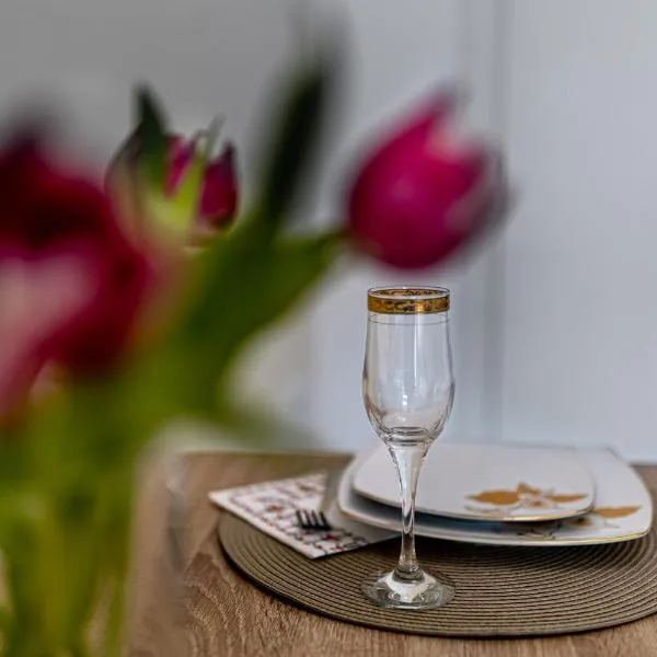 FELICIA with Parking，位于雅西的酒店