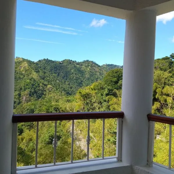Gorgeous 1 Bedroom Apartment in the Kingston Hills，位于金斯敦的酒店