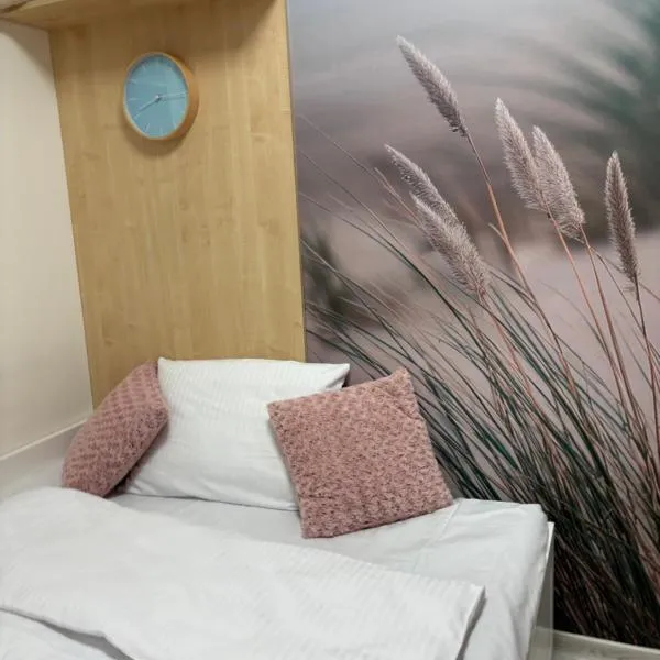 Tabago Studio 24 Łask S Batorego 36，位于瓦斯克的酒店