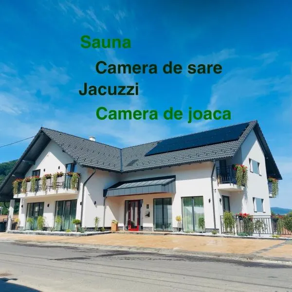 Pensiunea Royal Panzió，位于普拉伊德的酒店