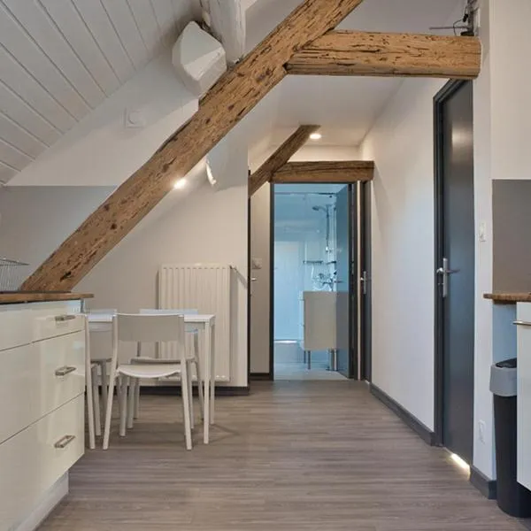 Chambre dans appartement indépendant，位于梅斯的酒店