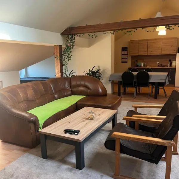 Noclegi Opole-Chmielowice Apartament C，位于奥普尔的酒店