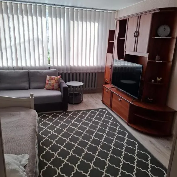 Butas KOMPaktiškas，位于陶拉格的酒店