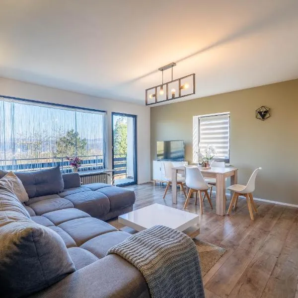 Staydia Apartment ruhige Lage mit Parkplatz，位于科布伦茨的酒店