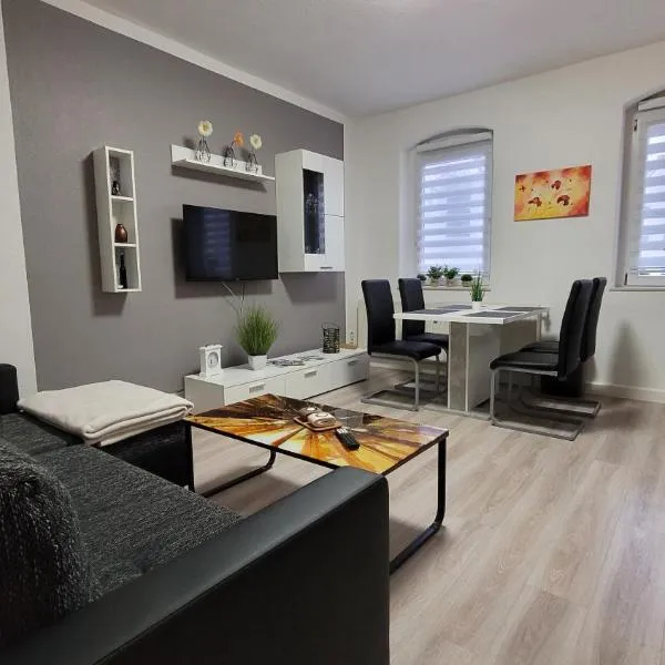 Apartment in ruhiger Südvorstadt，位于茨维考的酒店