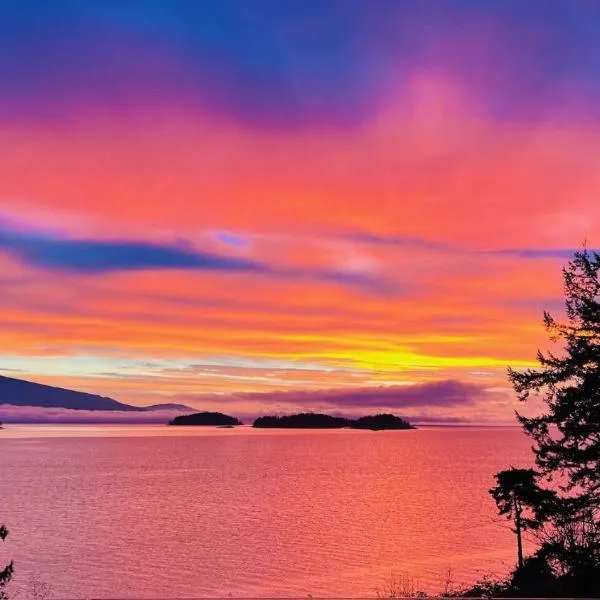 Oceanfront Garden Suite - Stunning Views & Wildlife，位于半月湾的酒店