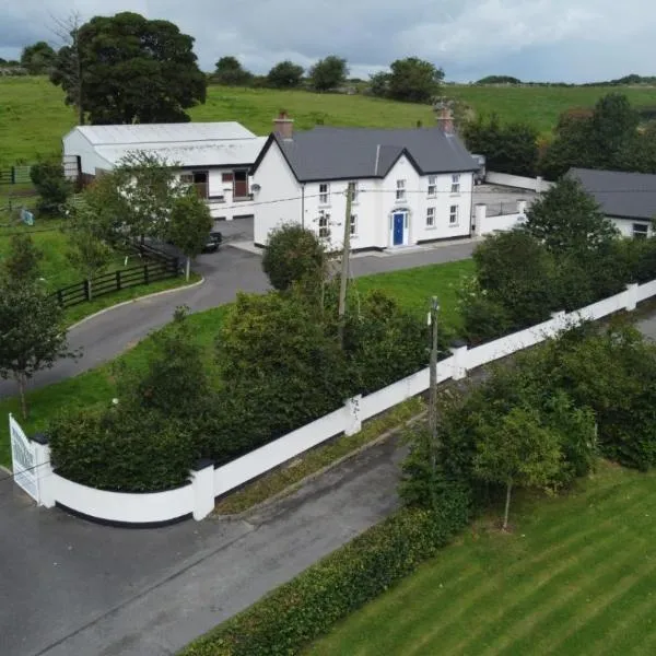 Silvi's Guest House Borris Carlow，位于Lissalican的酒店