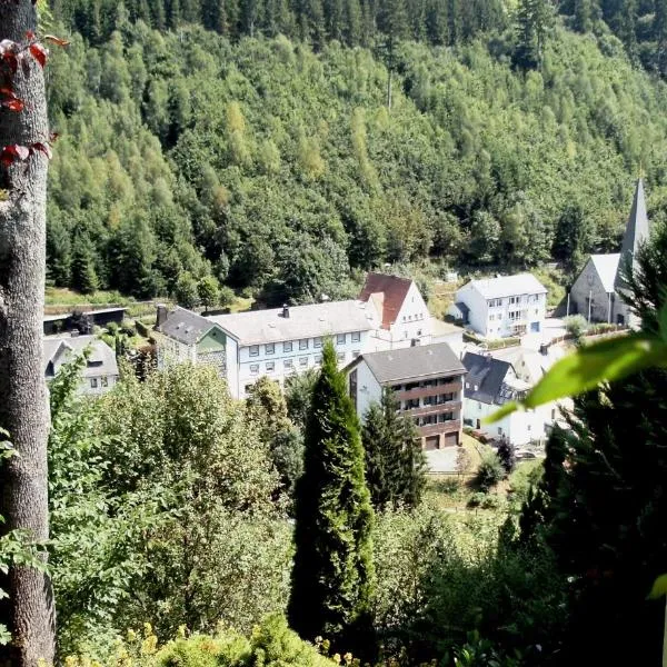 盖斯夫润达塔卡塔琳娜酒店，位于Schwarzenbach am Wald的酒店