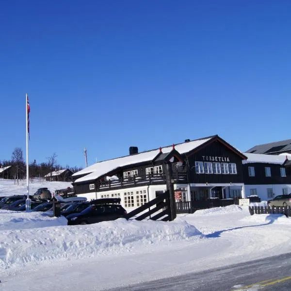 Torsetlia，位于Dagali的酒店