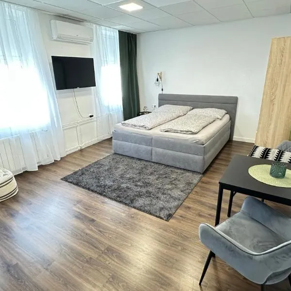 Apartman Vita Lite，位于特伦钦的酒店