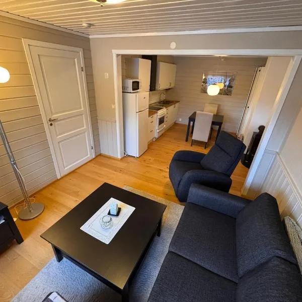 2 roms kjellerleilighet med separat soverom，位于Luster的酒店