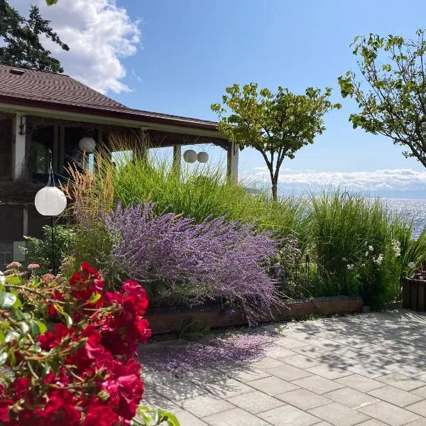 Blitz Beach House Oceanside Suite，位于鲍威尔里弗的酒店