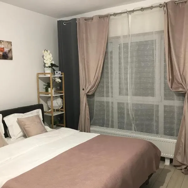 Deea H24，位于莱斯诺夫的酒店
