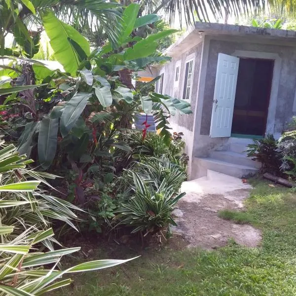 Port Antonio Brian's Beach House，位于安东尼奥港的酒店