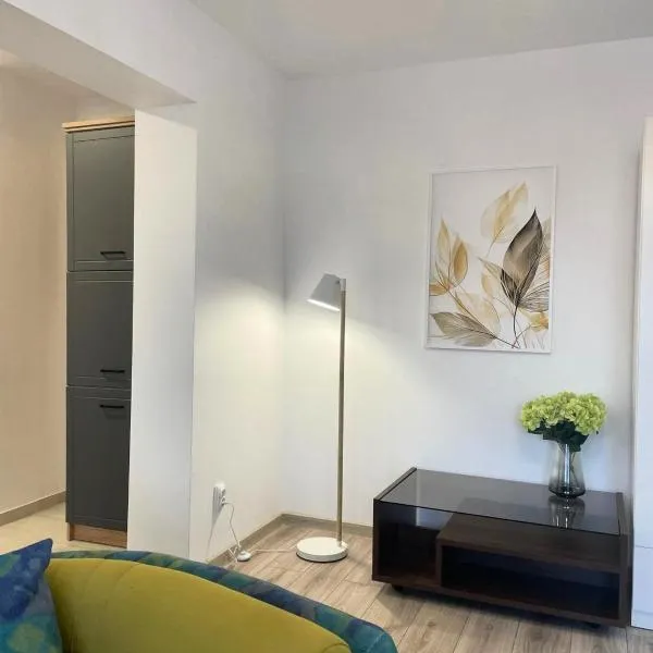 Apartament Corvin 1，位于胡内多阿拉的酒店