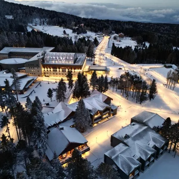 Swissotel Uludag Bursa，位于伯萨的酒店