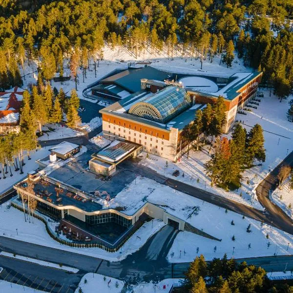 Swissotel Uludag Bursa，位于伯萨的酒店