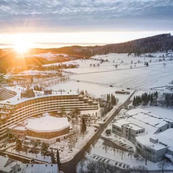 赛尔兰德斯特恩酒店 ，位于维林根的酒店