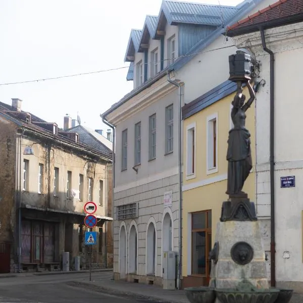Apartmani Mesko，位于戈斯皮奇的酒店