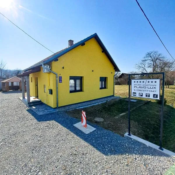 Studio apartmani FLAVO LUX，位于Donji Čaglić的酒店