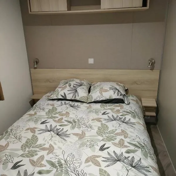 Mobil home 8 pers dans Camping Siblu Les Rives de Condrieu，位于孔德里约的酒店