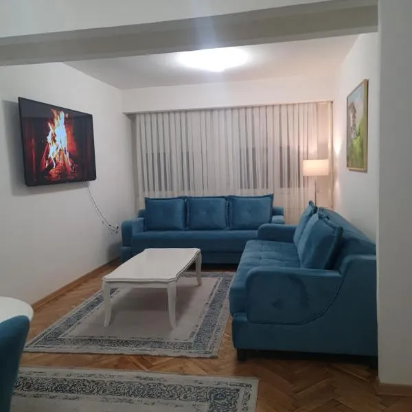 Turquoise Apartment，位于新帕扎尔的酒店