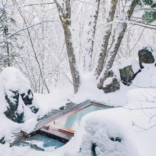 Raicho Onsen Inn，位于松本的酒店