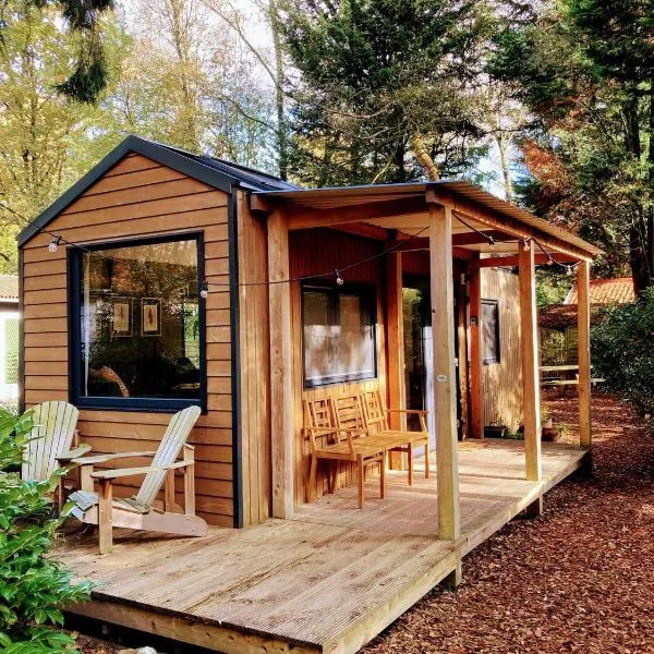 Sfeervol Tiny House in het Bos，位于迪森的酒店
