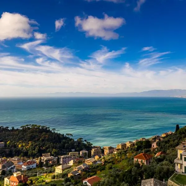 B&B Sciûsciâ e sciorbî，位于卡莫利的酒店