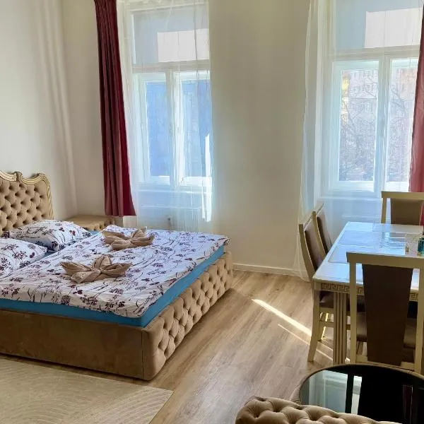 Apartmán Queen，位于布尔诺的酒店