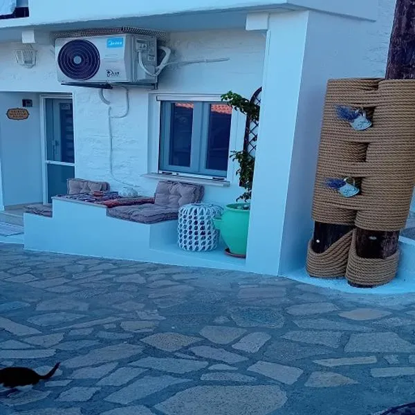 Helens Mountain House，位于萨摩斯的酒店