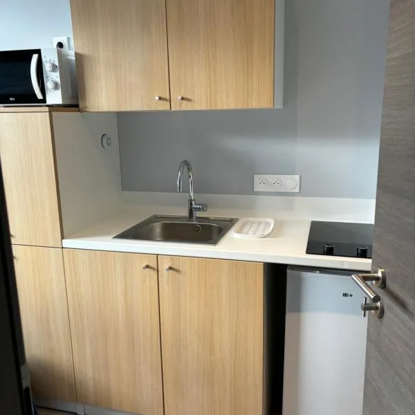 Appartement ESCURIAL CHU VANDOEUVRE-LES-NANCY，位于旺德夫尔莱南锡的酒店