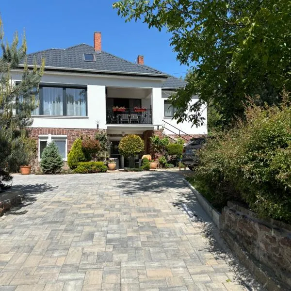 Levendula Apartmanház，位于包道乔尼托毛伊的酒店