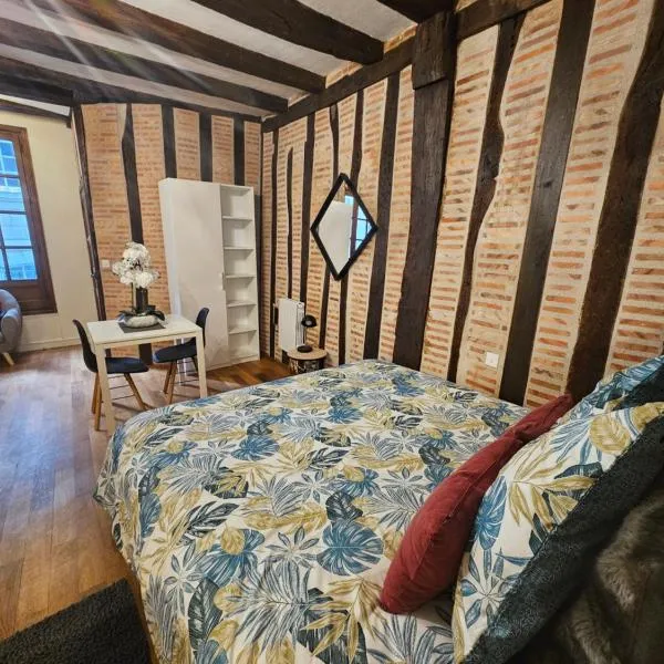 Petit havre de paix - quartier historique，位于图尔的酒店