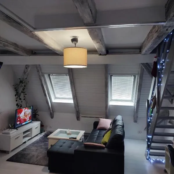 duplex aux portes de Strasbourg tram 100m，位于希尔蒂盖姆的酒店