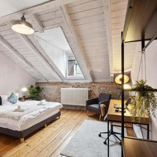 The R Loft - Cosy Hostel Suite, Roof Top, Communal Kitchen and Bathroom，位于奥尔滕的酒店