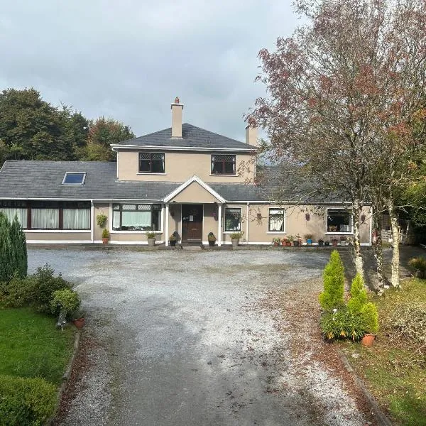 Davmar House Blarney，位于科克的酒店