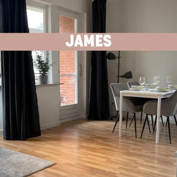 James -Ferienwohnung mit Balkon in Strand und Wald Nähe，位于弗伦斯堡的酒店