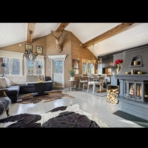 Bjorli Mountain Cabin，位于Bjorli的酒店