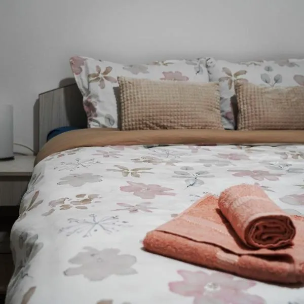 LUX Apartmani，位于Kikinda的酒店