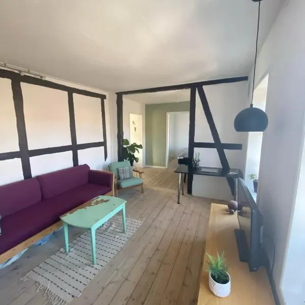 Cozy and Central，位于赫尔辛格的酒店