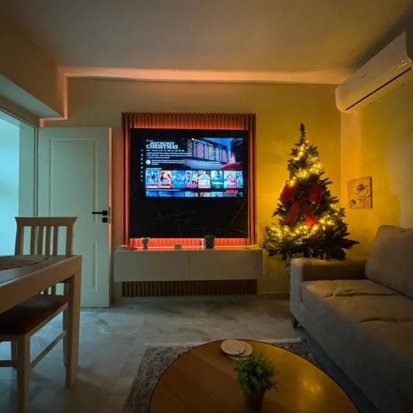 Downtown Deluxe Apartment，位于斯库台的酒店