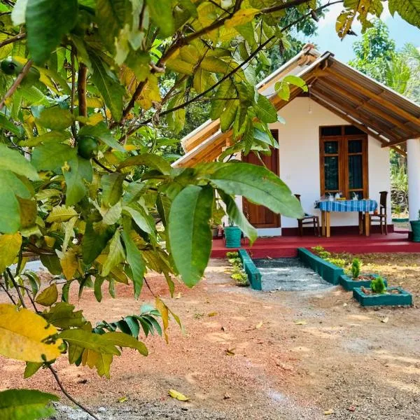 Little Haven Cottage，位于锡吉里亚的酒店