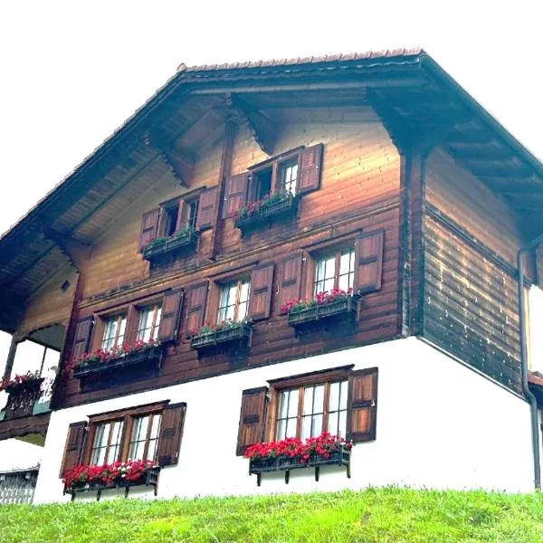 Flensa-Ferienwohnung，位于Seewis im Prättigau的酒店